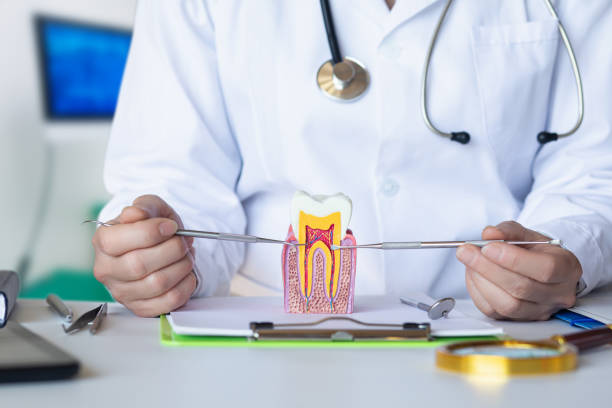 Best Emergency Broken Tooth Repair in Vass, NC